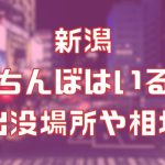 新潟に立ちんぼはいる？